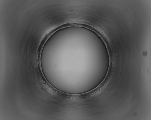 X0000091170974200708231501