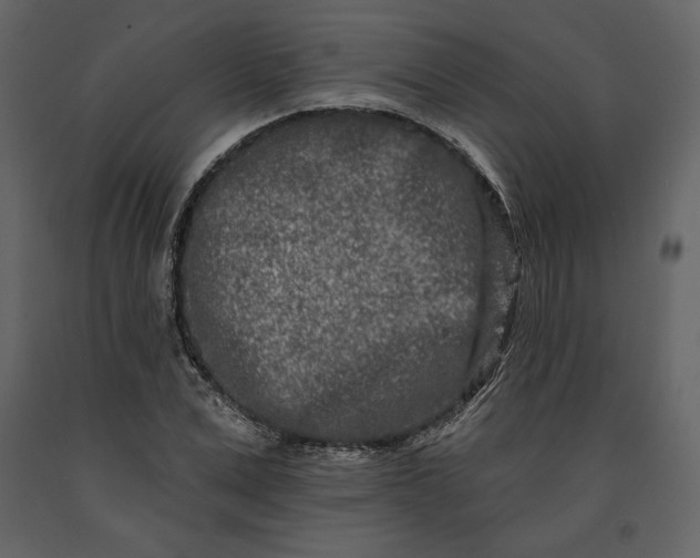 X0000091170975200708231501