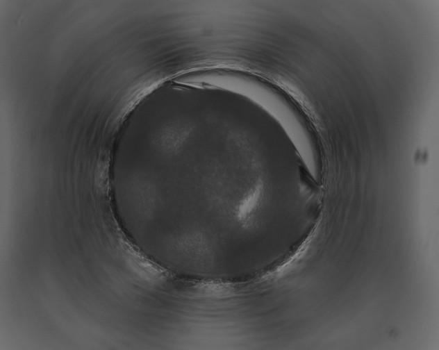 X0000091170977200708231501