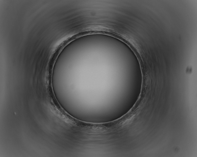 X0000091170979200708231501