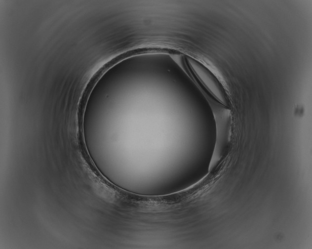 X0000091170980200708231501