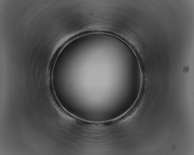 X0000091170981200708231501