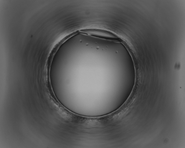 X0000091170982200708231501