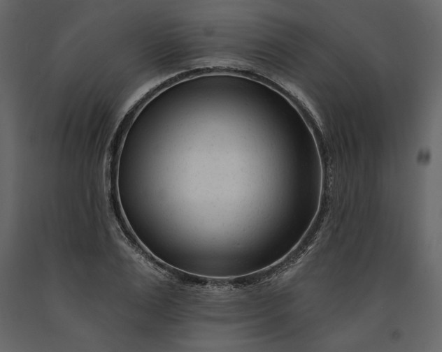 X0000091170983200708231501