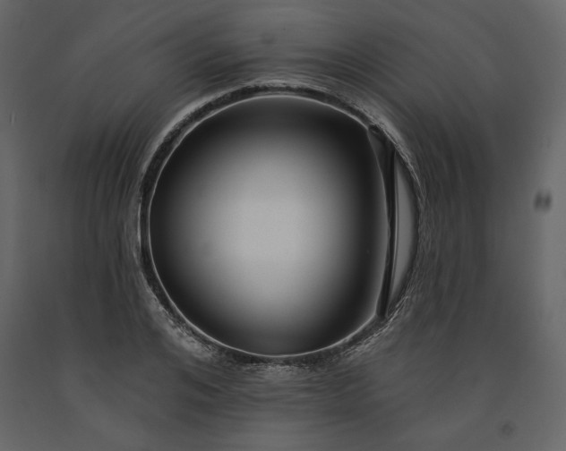 X0000091170984200708231501