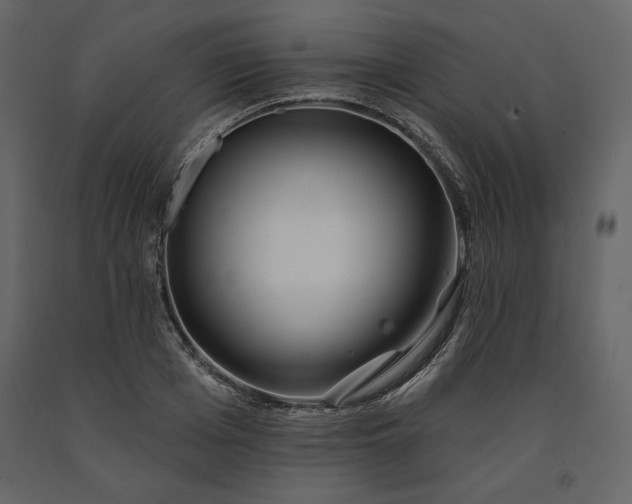 X0000091170985200708231501