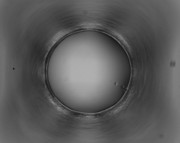 X0000091170986200708231501