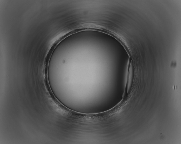 X0000091170987200708231501