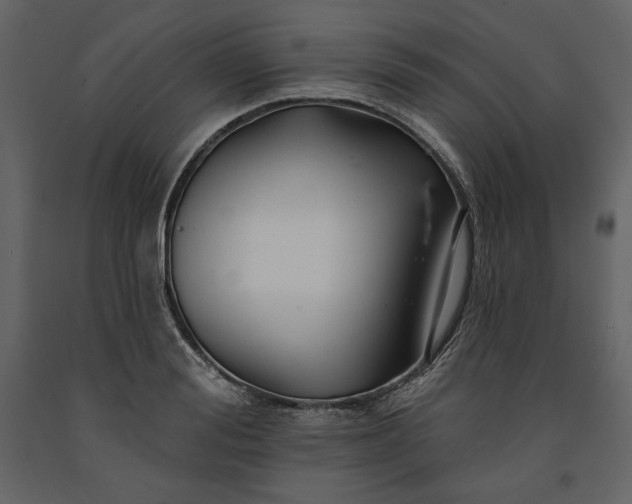 X0000091170988200708231501