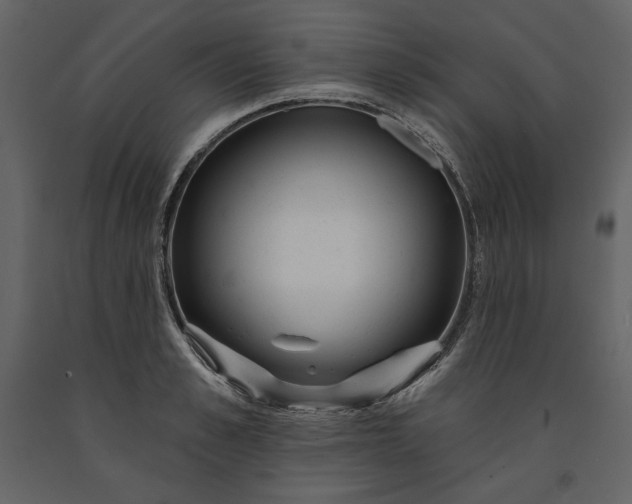 X0000091170989200708231501