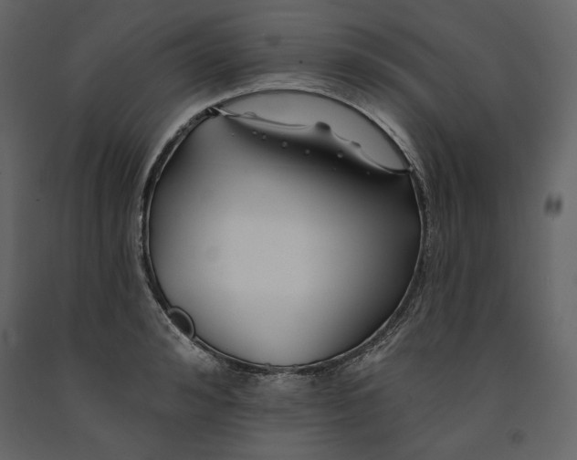 X0000091170992200708231501