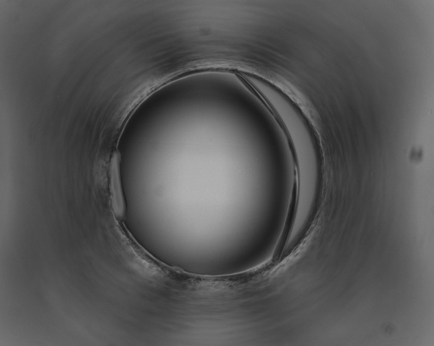 X0000091170993200708231501