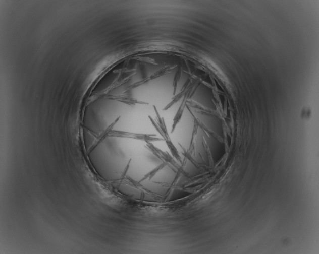 X0000091170994200708231501