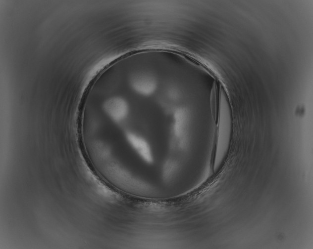 X0000091170995200708231501