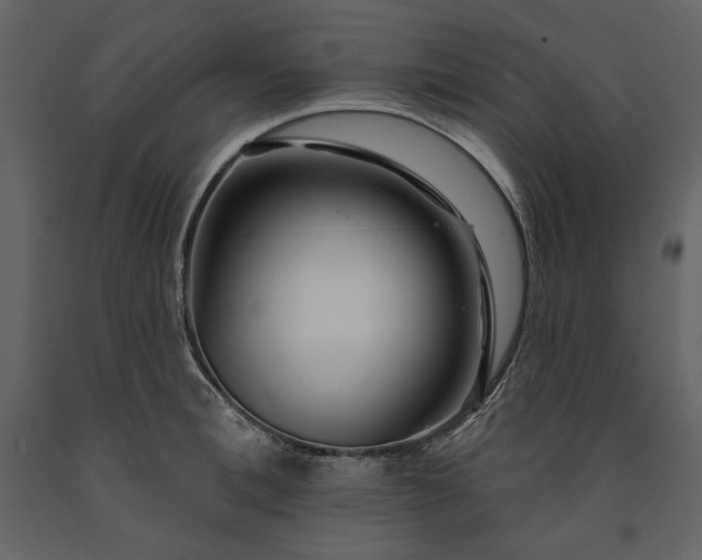 X0000091170996200708231501