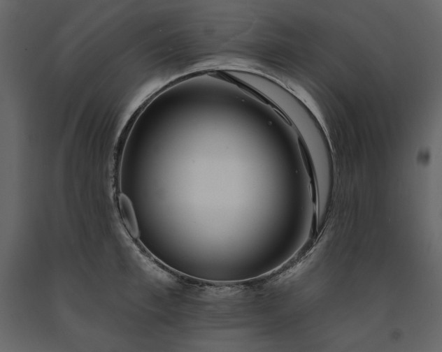 X0000091170997200708231501