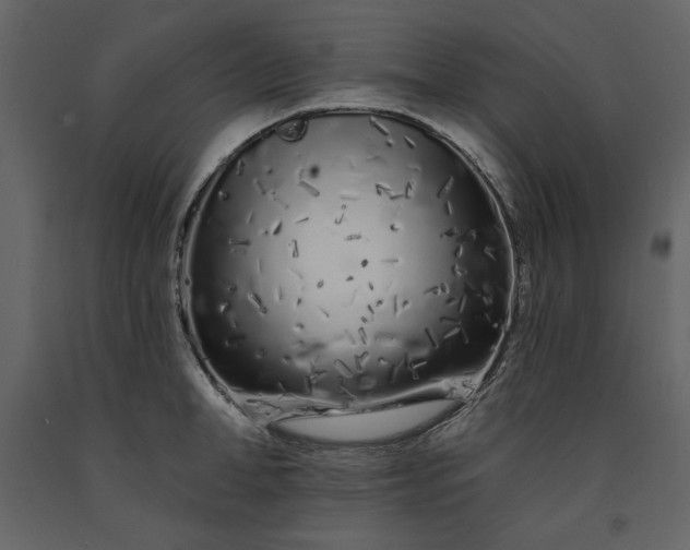 X0000091170998200708231501