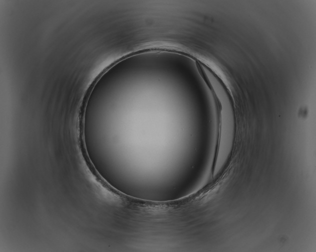 X0000091170999200708231501