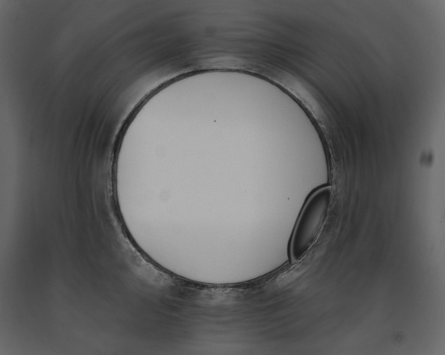 X0000091171000200708231501