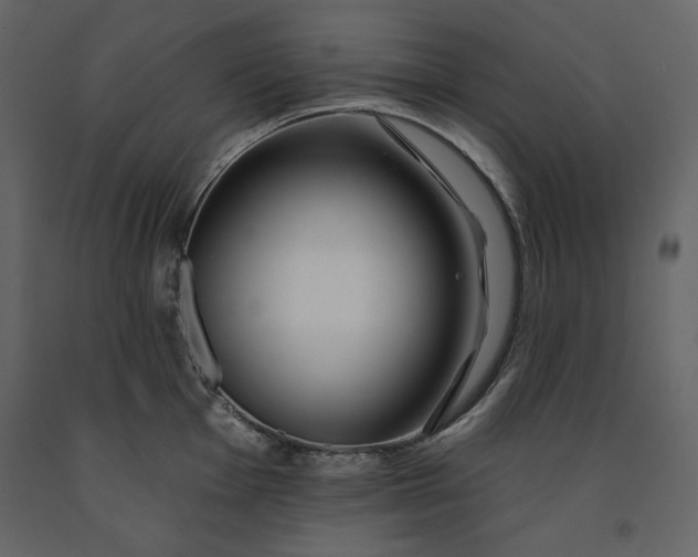 X0000091171001200708231501