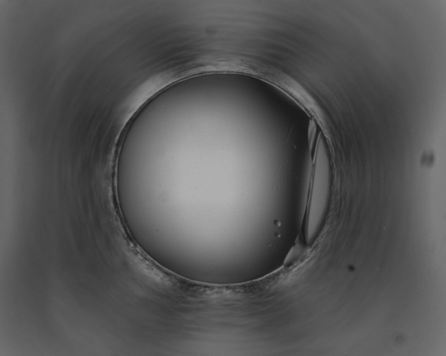 X0000091171002200708231501