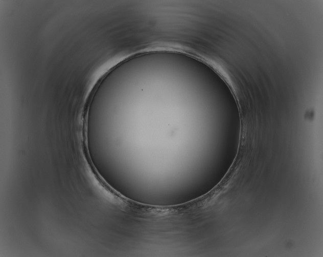 X0000091171003200708231501