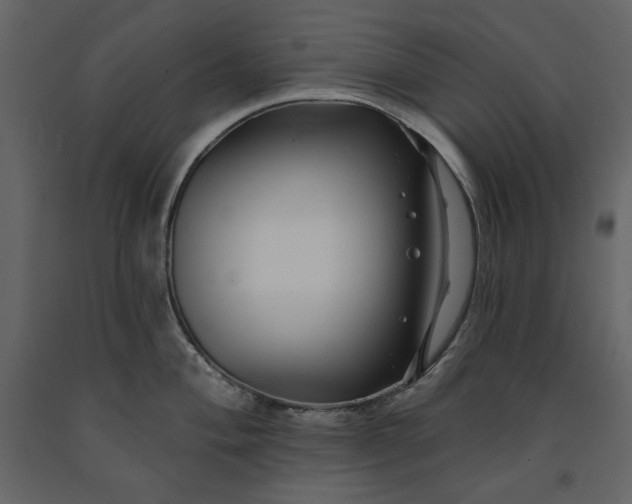 X0000091171004200708231501