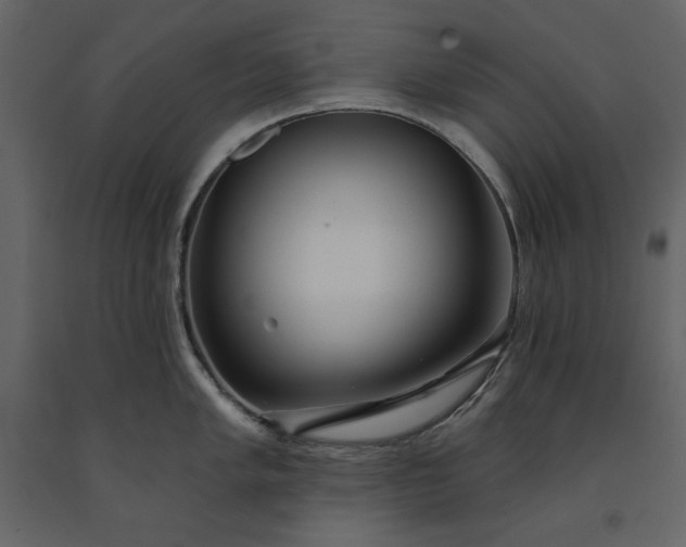 X0000091171005200708231501