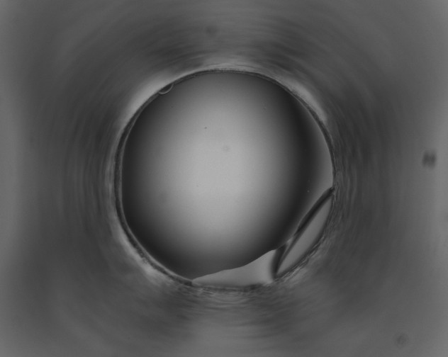 X0000091171007200708231501