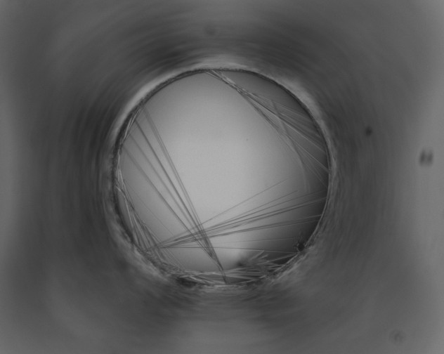 X0000091171008200708231501