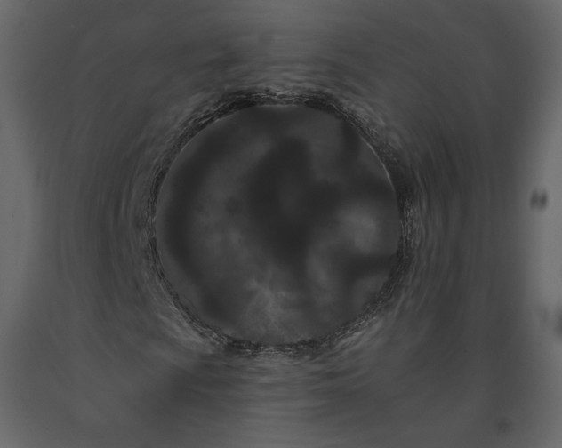 X0000091171009200708231500