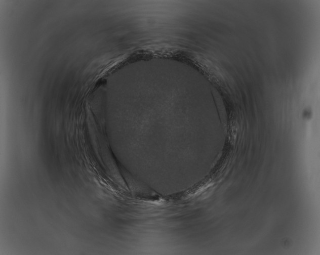 X0000091171010200708231500