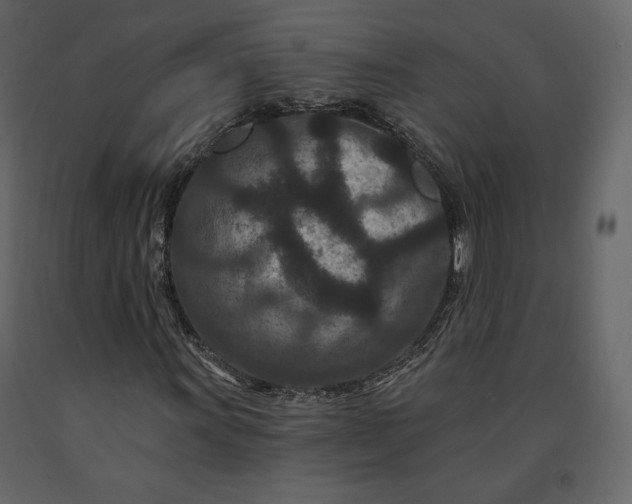 X0000091171011200708231500