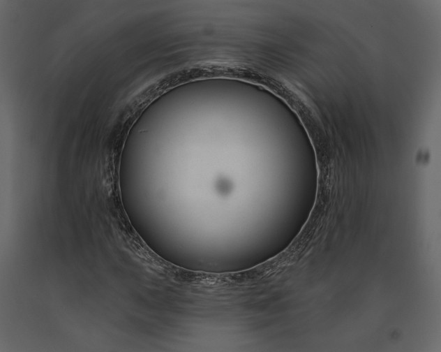 X0000091171015200708231500