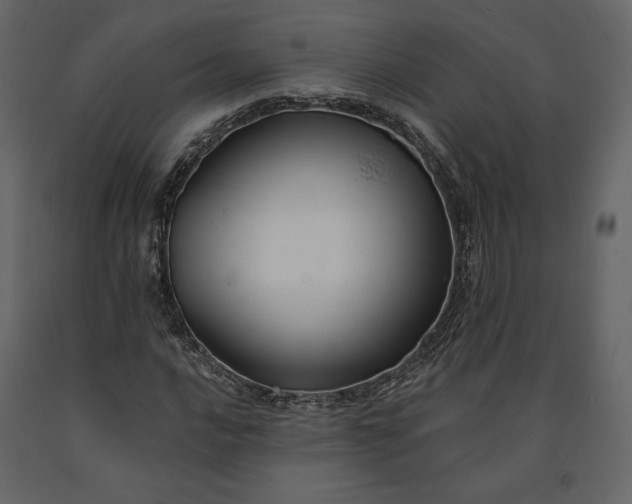 X0000091171016200708231500