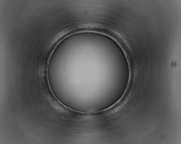 X0000091171017200708231500