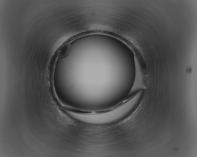 X0000091171022200708231500