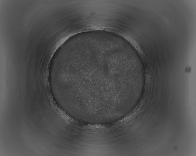 X0000091171023200708231500