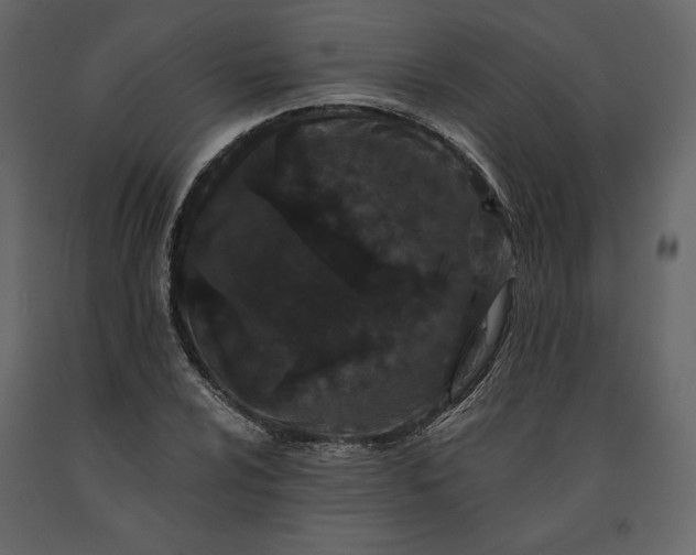 X0000091171024200708231500