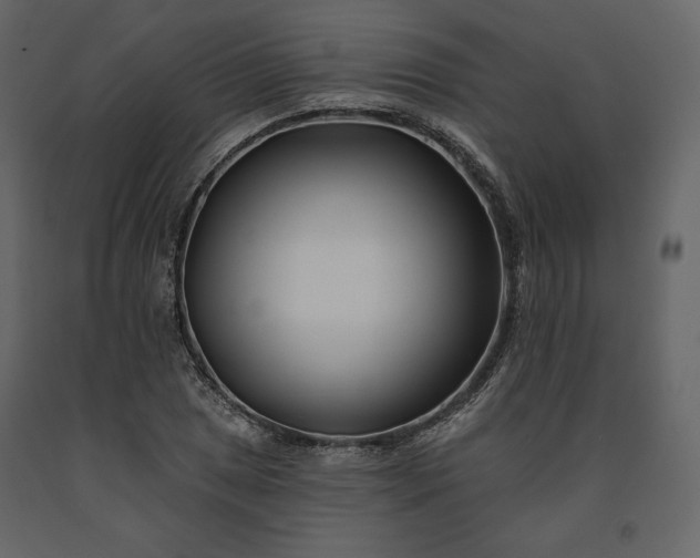 X0000091171025200708231500