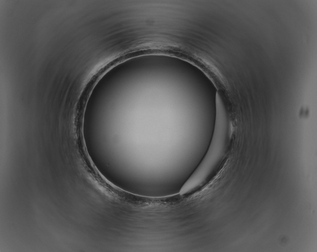 X0000091171026200708231500