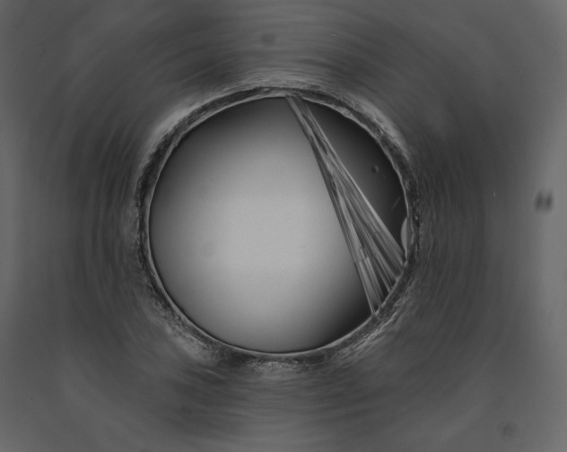 X0000091171027200708231500