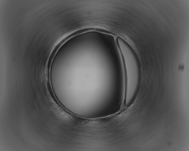 X0000091171028200708231500