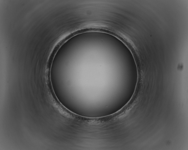 X0000091171029200708231500