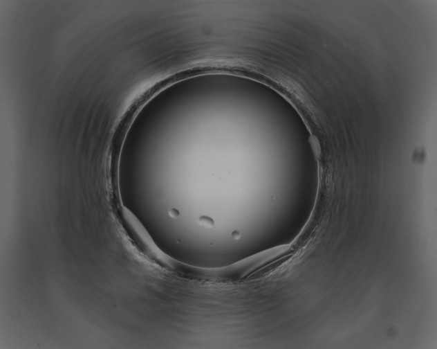 X0000091171030200708231501