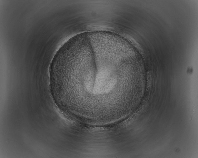 X0000091171031200708231501