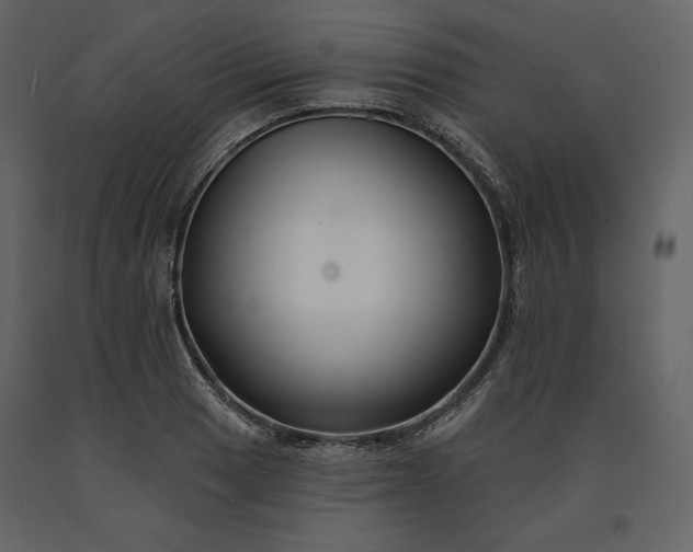 X0000091171033200708231501