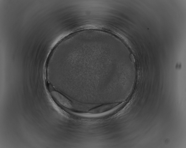 X0000091171034200708231501