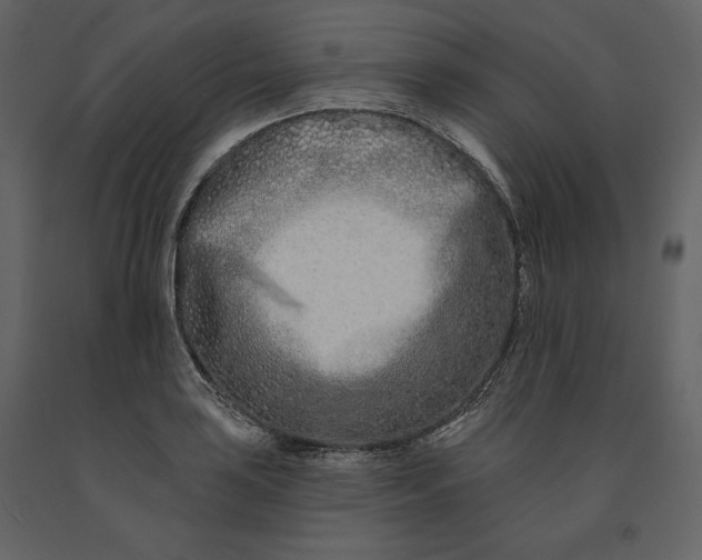 X0000091171035200708231501