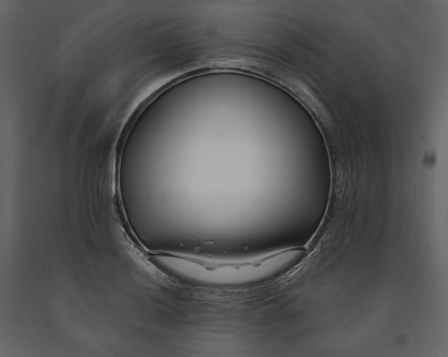 X0000091171036200708231501